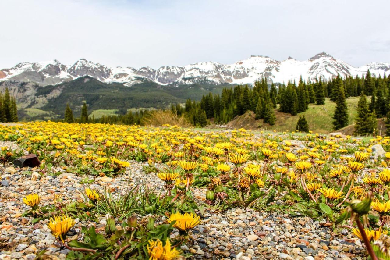 Mountain Lodge Telluride Zimmer foto